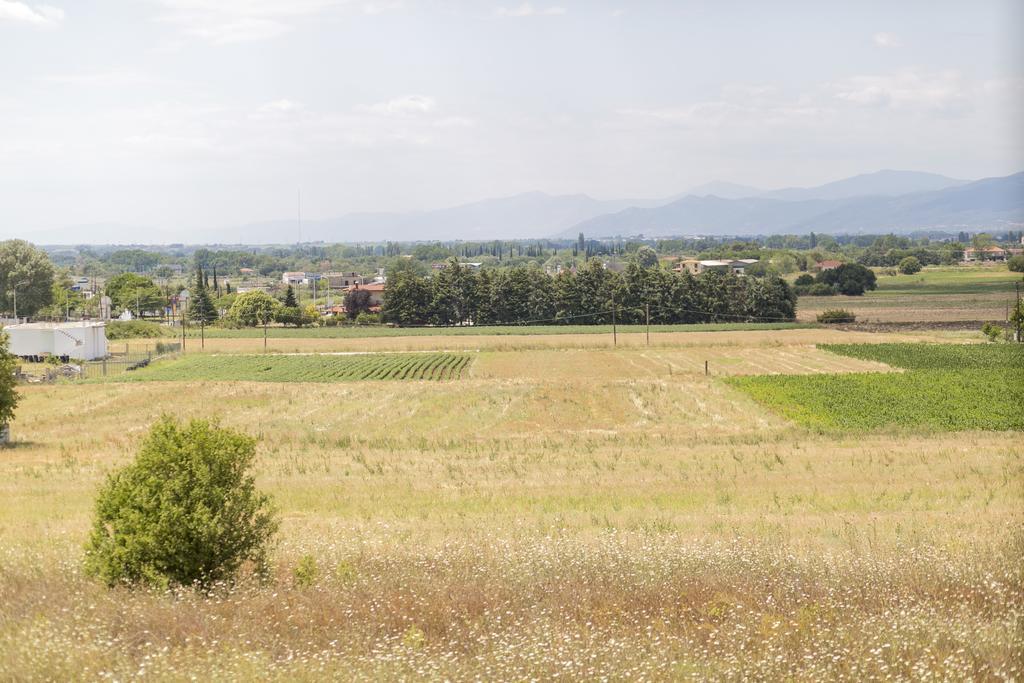 CasaGreek Komotini Bed & Breakfast Bagian luar foto